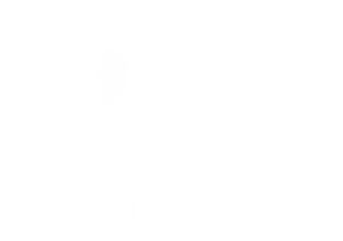 Google Partner